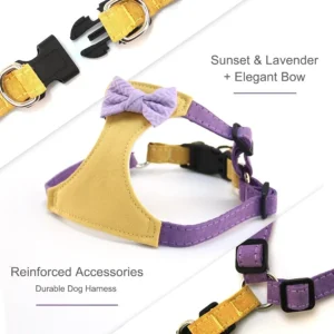 Small Dog Harness with Leash Bow Tie Cute Breathable Puppy Harness for Girl Boy Dogs No Pull No Choke Escape Proof Pet Harn