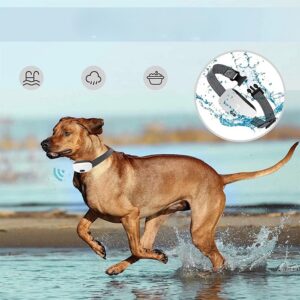 Anti bark dog collar Electric shock Vibration LED
