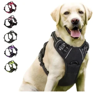 Dog Collars Harness Big Vests Leash Pet Shop