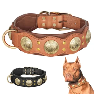 Real Leather Dog Collar Genuine Leather Collars