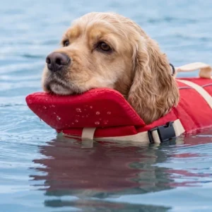 Waterproof Dog Life Jacket Breathable Adjustable
