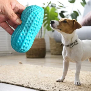 Dog Chewing Toy Simulation Peanut Squeaking